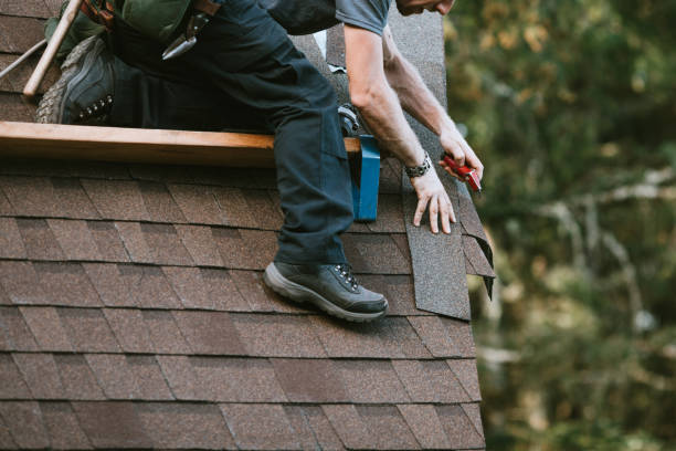 Quick and Trustworthy Emergency Roof Repair Services in Riverview, FL